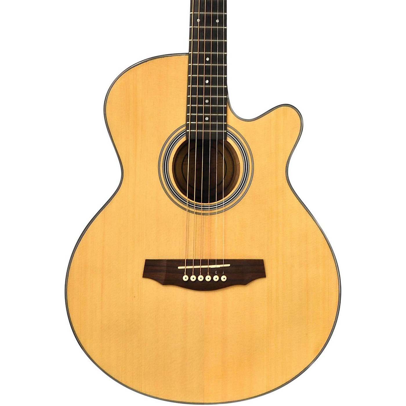 Fretlight FG5 AcousticElectric Guitar with BuiltIn Lighted Learning