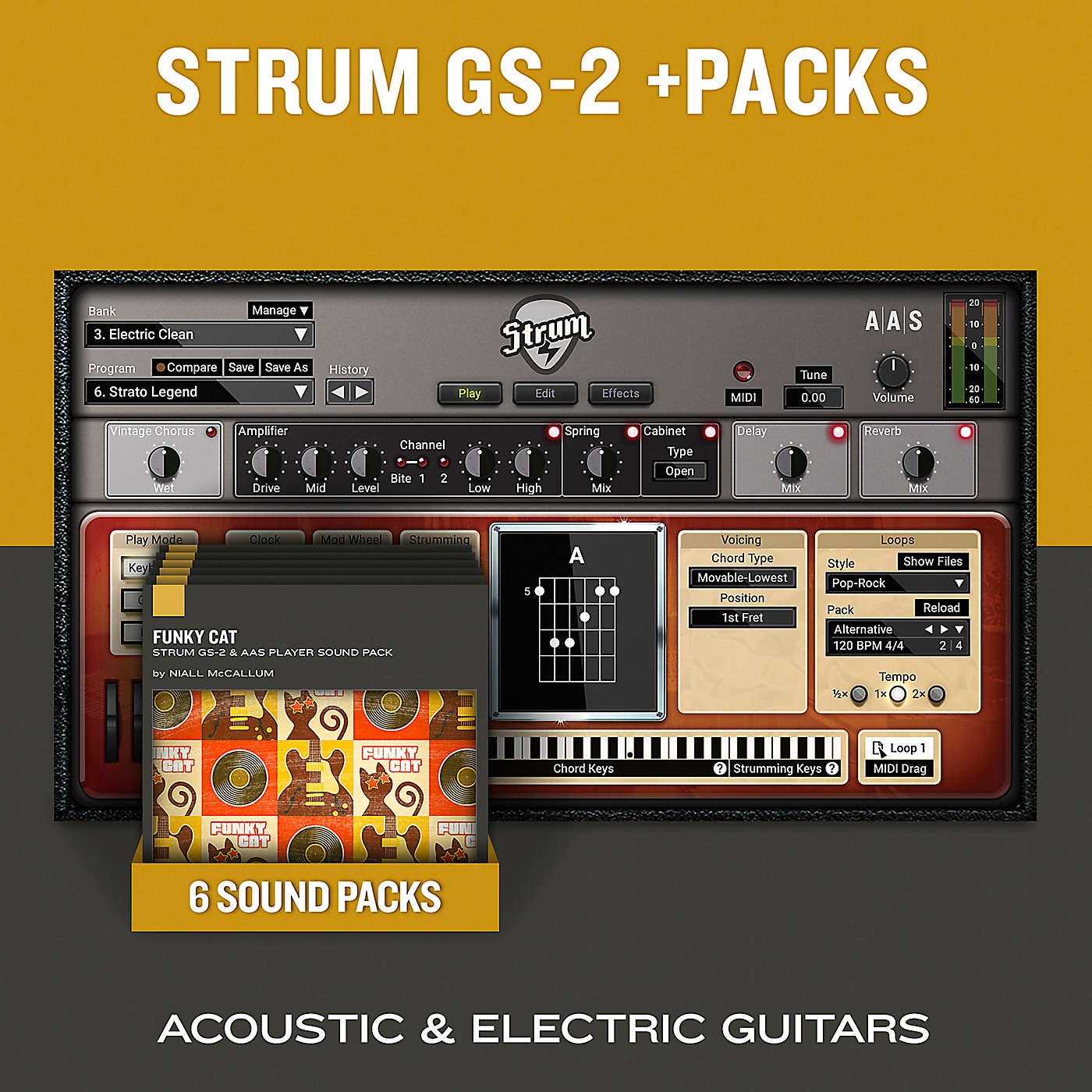 Applied Acoustics Systems Funky Cat - Sound Pack for the Free AAS Player or Strum GS-2 (Download) thumbnail
