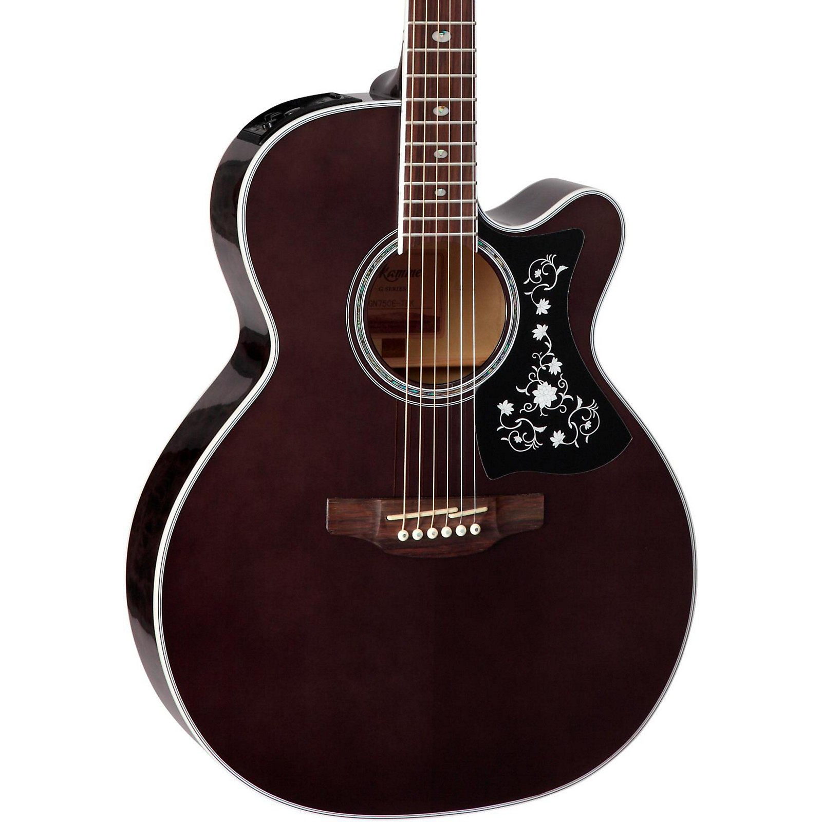 takamine acoustic electric guitar