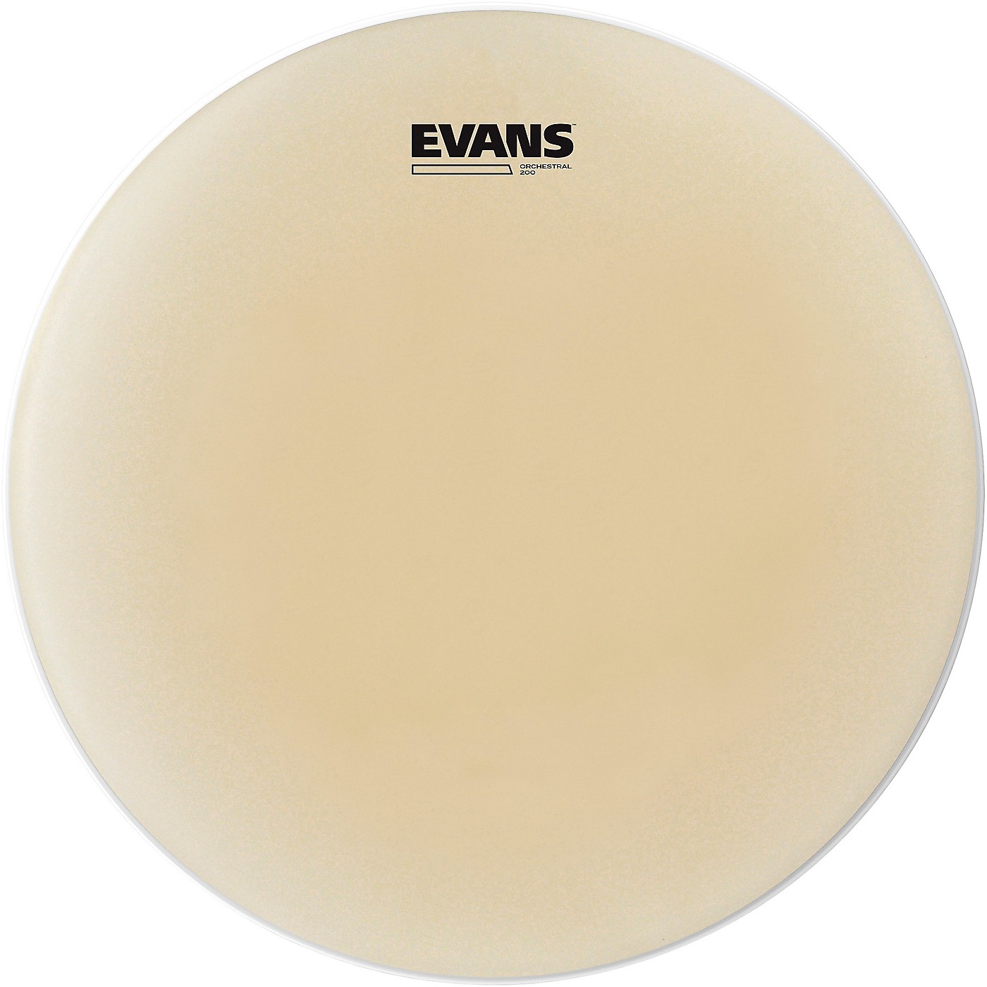 Evans Genera 200 Snare Side Drumhead thumbnail