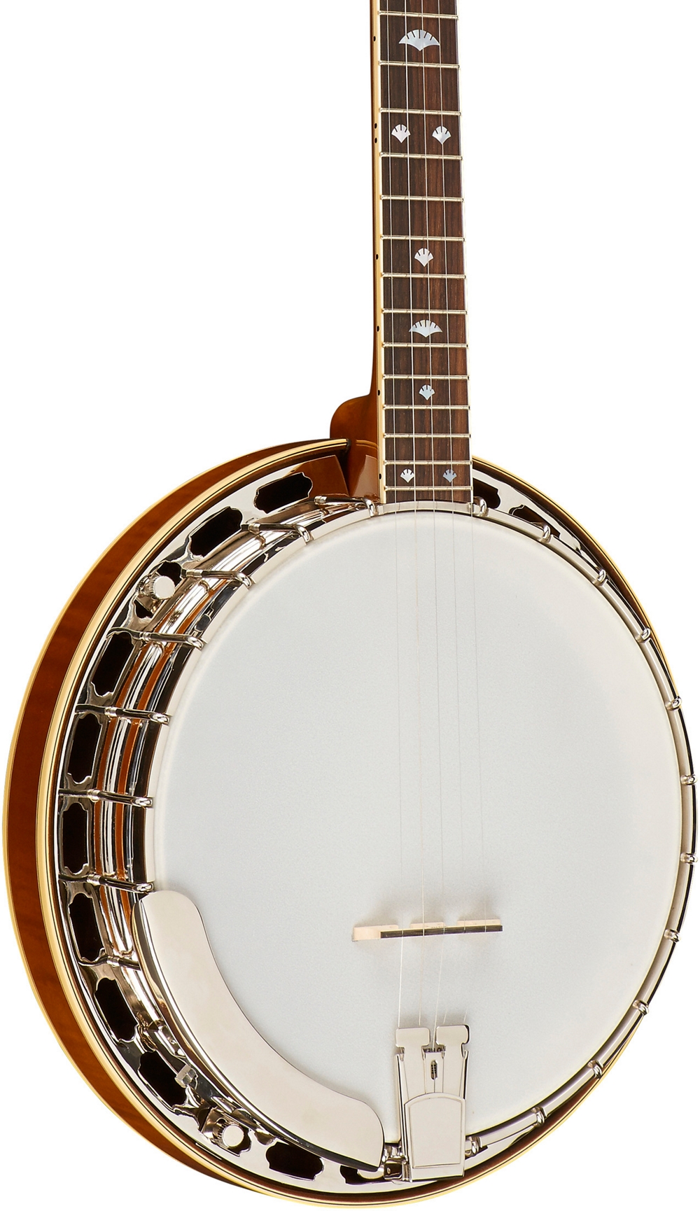 Recording King USA Series M5 Banjo eBay