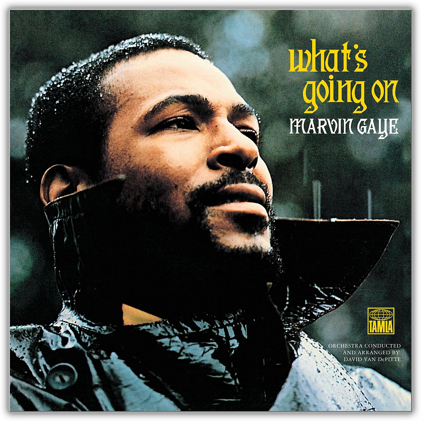 Universal Music Group Marvin Gaye - What's Going On Vinyl LP thumbnail