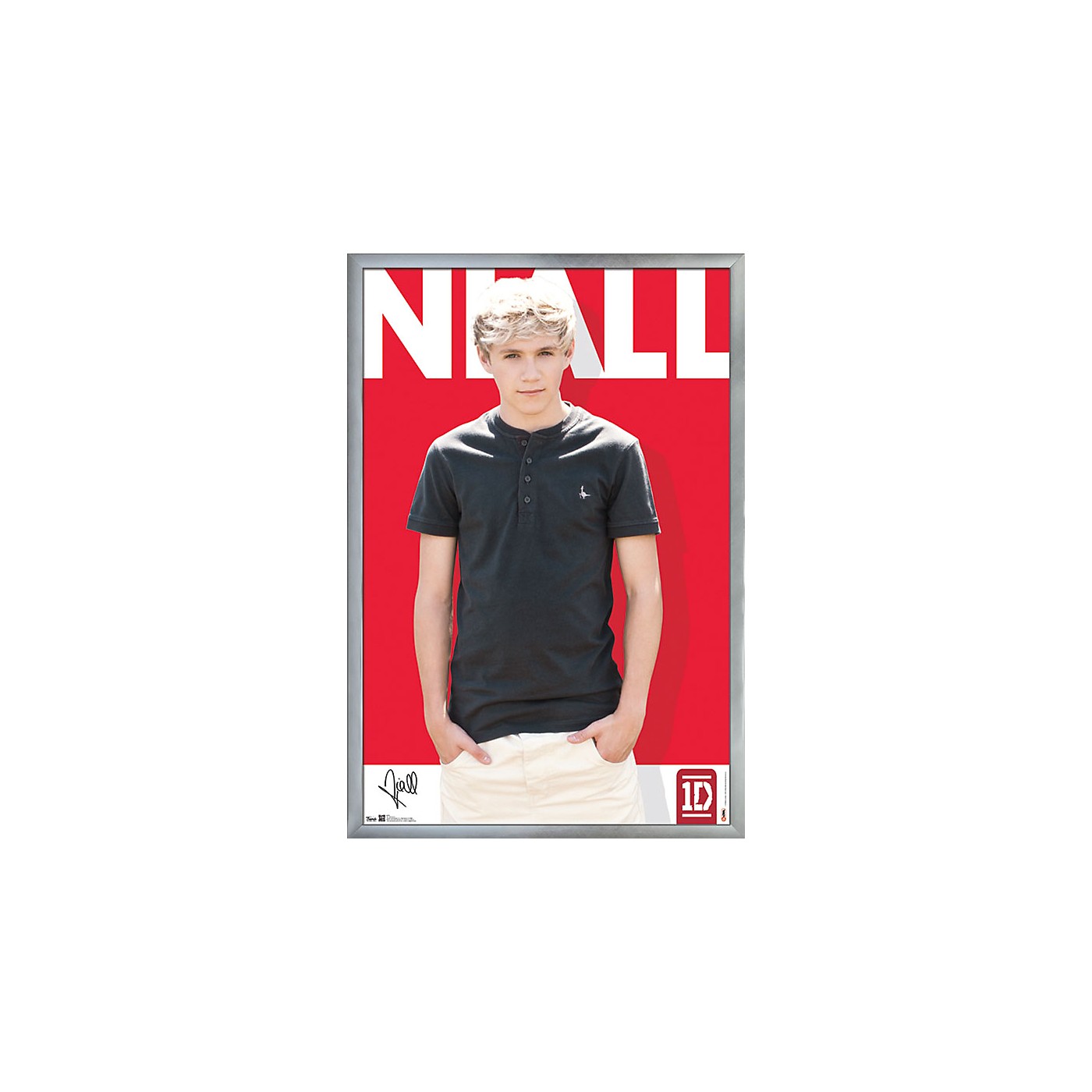 Trends International One Direction - Niall Horan Poster thumbnail