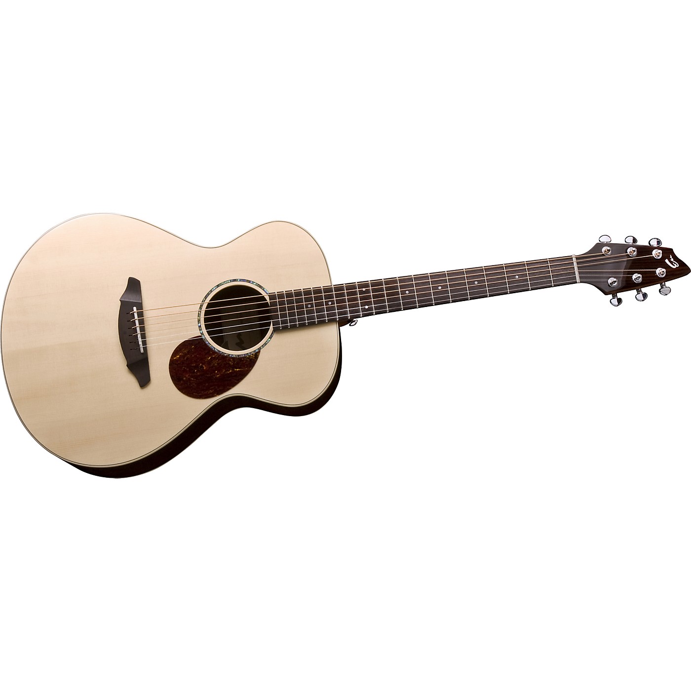 breedlove passport plus c200 sr