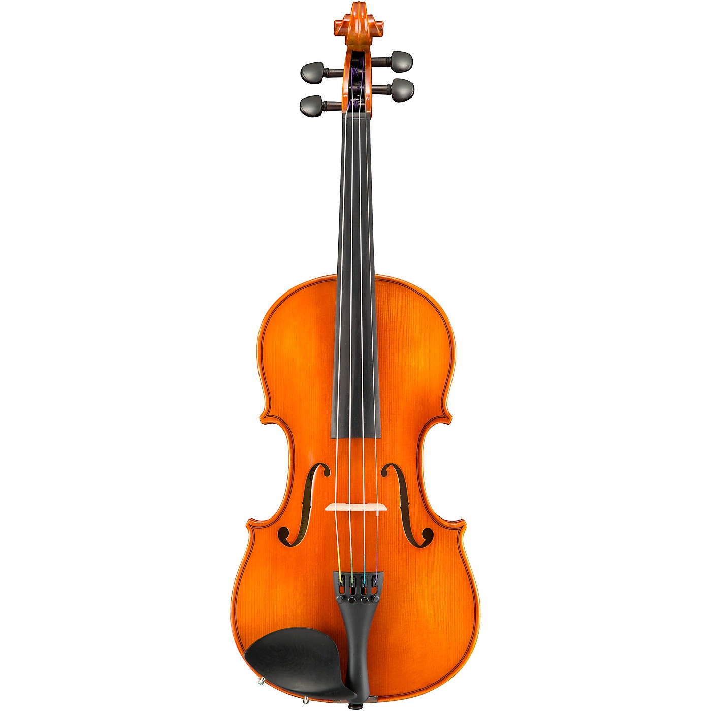 Samuel Eastman VL100 Series Student Violin Outfit thumbnail
